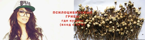 стафф Бородино