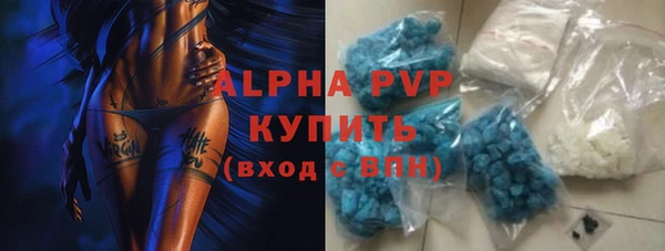 стафф Бородино