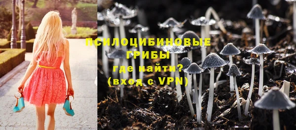 прущая мука Бугульма