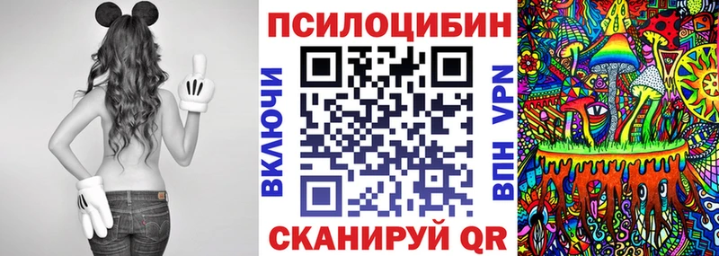 Купить  Покров  Галлюциногенные грибы Psilocybe 